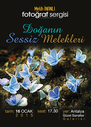 DOĞANIN SESSİZ MELEKLERİ